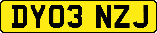 DY03NZJ