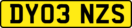DY03NZS