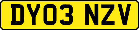 DY03NZV