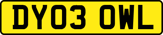 DY03OWL