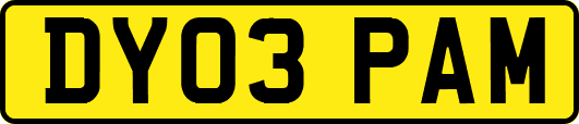 DY03PAM