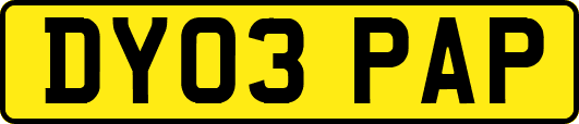DY03PAP