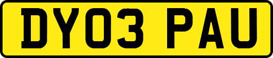 DY03PAU