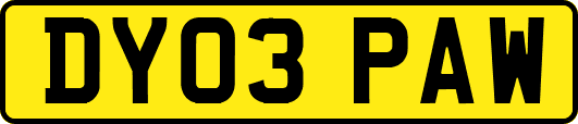 DY03PAW