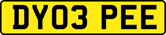 DY03PEE