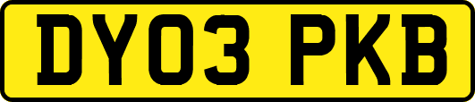 DY03PKB