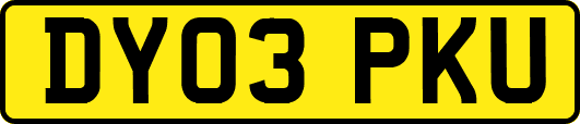 DY03PKU