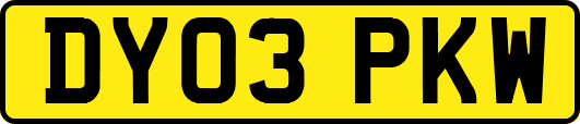 DY03PKW