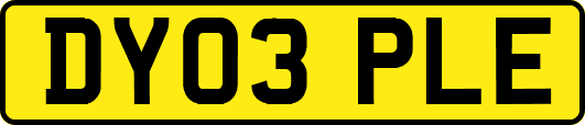 DY03PLE