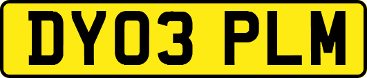 DY03PLM