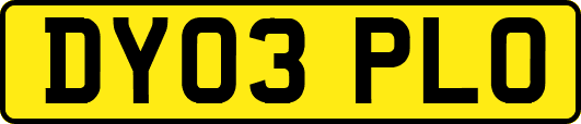 DY03PLO