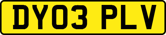 DY03PLV
