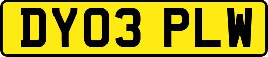 DY03PLW