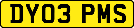 DY03PMS