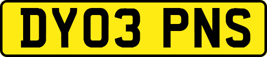 DY03PNS