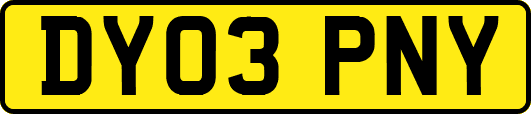 DY03PNY