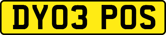 DY03POS