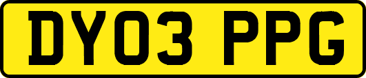DY03PPG