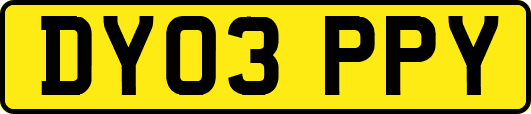 DY03PPY