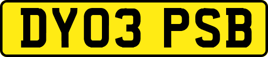 DY03PSB