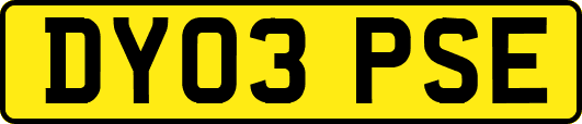 DY03PSE