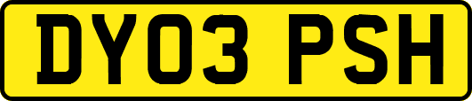 DY03PSH