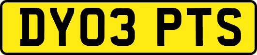 DY03PTS