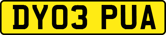 DY03PUA