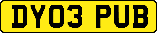 DY03PUB