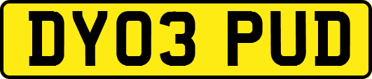 DY03PUD