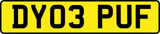 DY03PUF