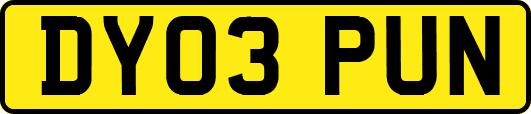 DY03PUN