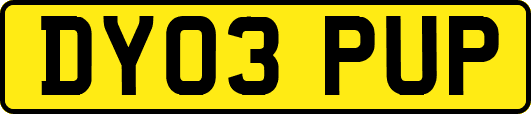 DY03PUP