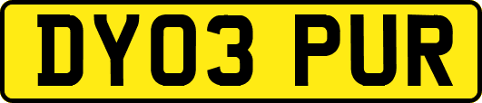 DY03PUR
