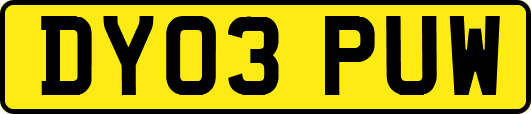 DY03PUW