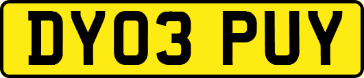 DY03PUY