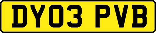 DY03PVB