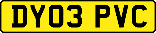 DY03PVC