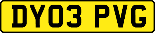 DY03PVG