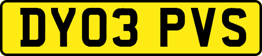 DY03PVS