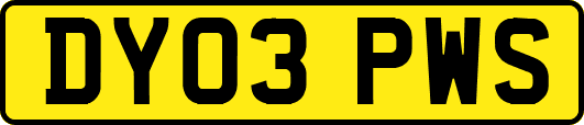 DY03PWS