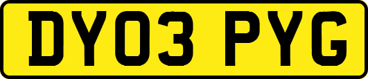 DY03PYG