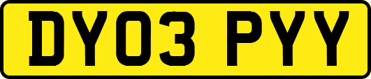 DY03PYY