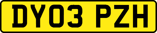 DY03PZH