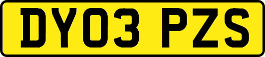 DY03PZS