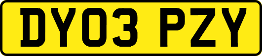 DY03PZY