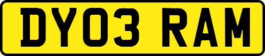 DY03RAM