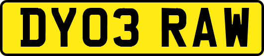DY03RAW
