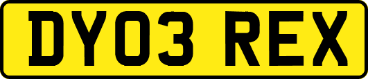 DY03REX
