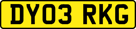 DY03RKG